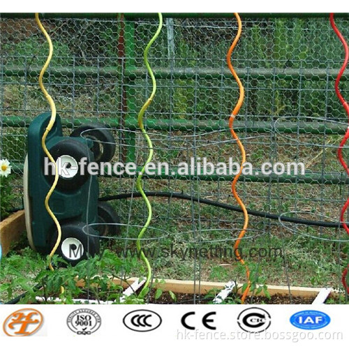 graden tomato growing spiral stakes ISO,SGS factory